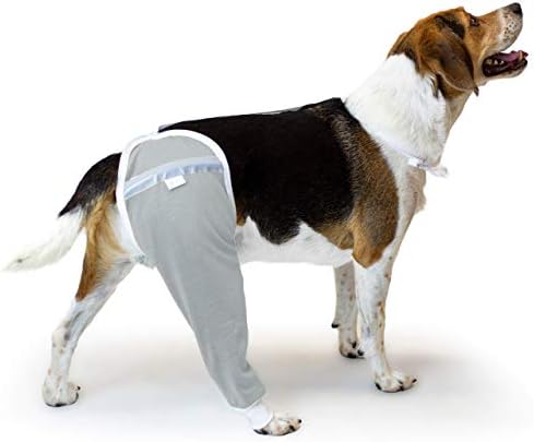 Dog Pants: The Ultimate Fashion Statement for Your Furry Friend!