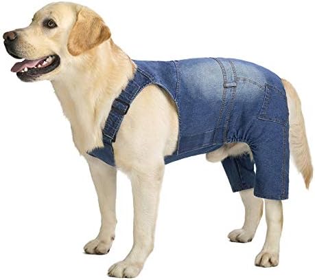 Dog Pants