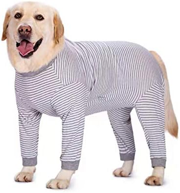 Dog Pants